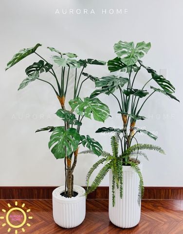 Cây giả trang trí (Set cây decor 02)