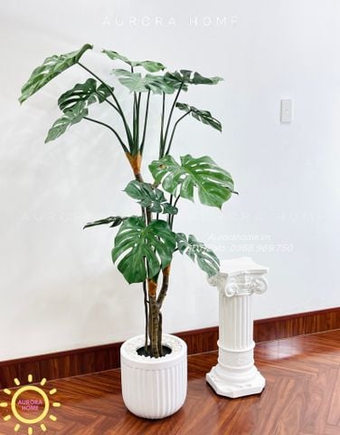 Cây giả trang trí (Set cây decor 02)