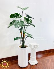 Cây giả trang trí (Set cây decor 02)