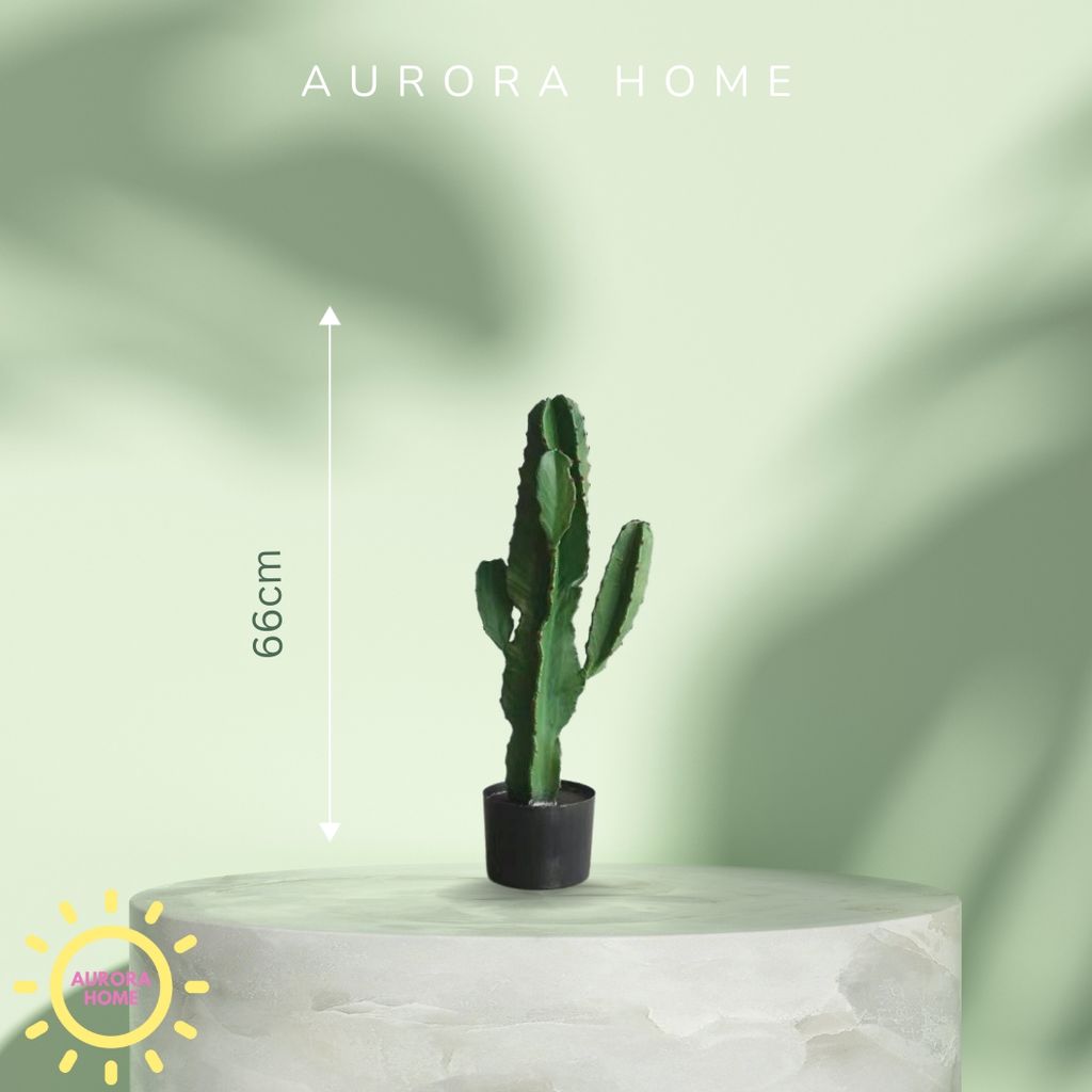 Cây xương rồng giả decor phong cách nhiệt đới Tropical