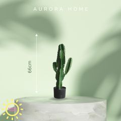 Cây xương rồng giả decor phong cách nhiệt đới Tropical