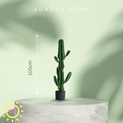Cây xương rồng giả decor phong cách nhiệt đới Tropical