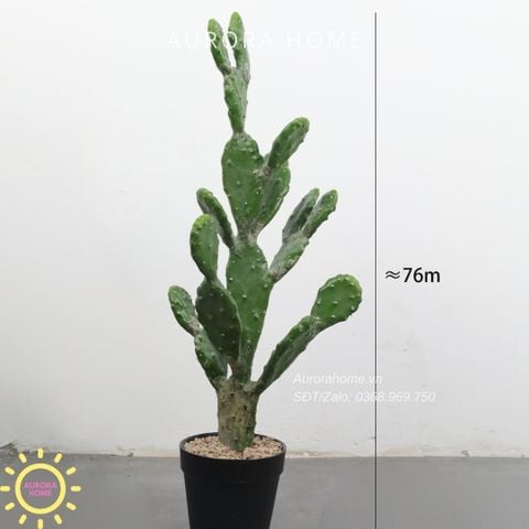 Cây xương rồng giả Maroc đa trụ tay 76cm