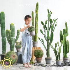 Cây xương rồng giả decor phong cách nhiệt đới Tropical