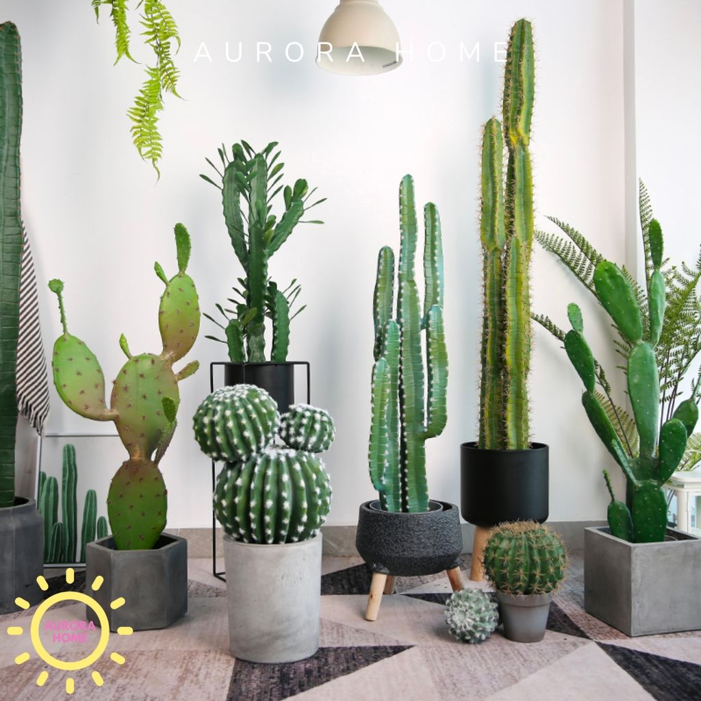 Cây xương rồng giả decor phong cách nhiệt đới Tropical