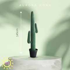 Cây xương rồng giả decor phong cách nhiệt đới Tropical