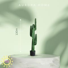 Cây xương rồng giả decor phong cách nhiệt đới Tropical