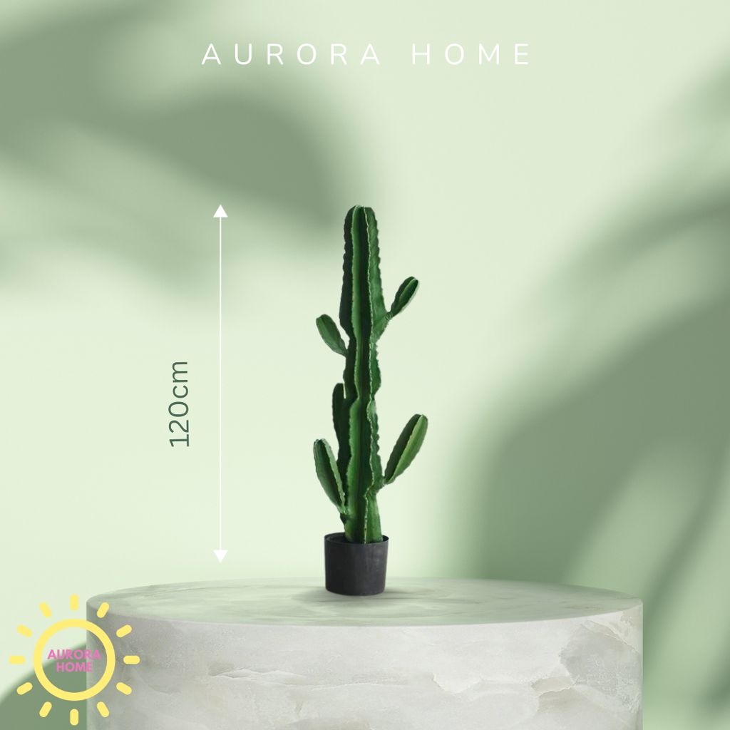 Cây xương rồng giả decor phong cách nhiệt đới Tropical