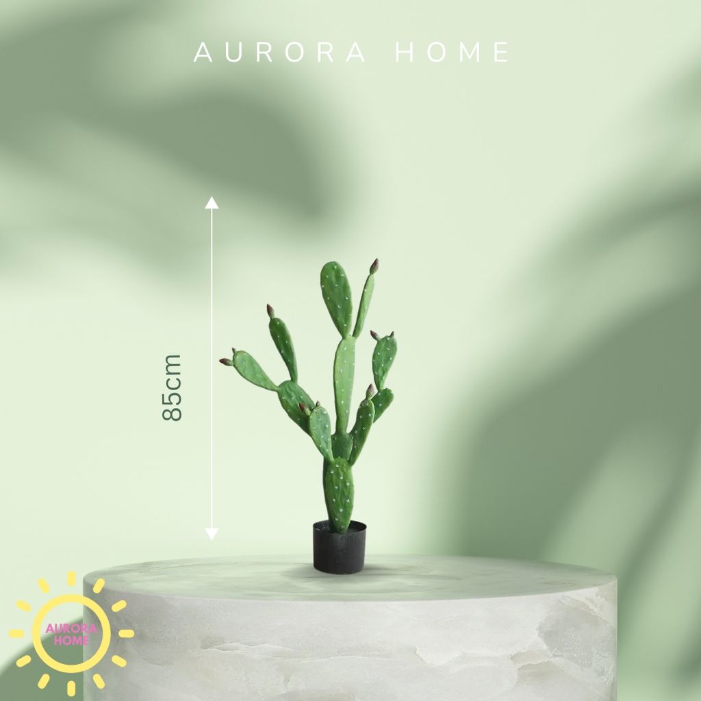 Cây xương rồng giả decor phong cách nhiệt đới Tropical
