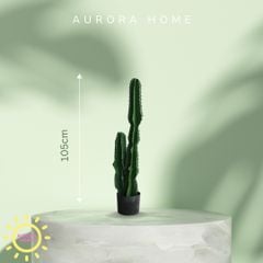 Cây xương rồng giả decor phong cách nhiệt đới Tropical