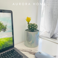 Chậu cây xương rồng Gala light mini giả để bàn