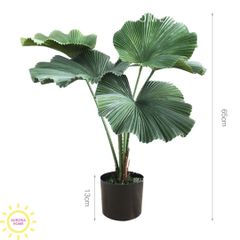 Cây giả cao cấp cây cọ lùn tán xoè