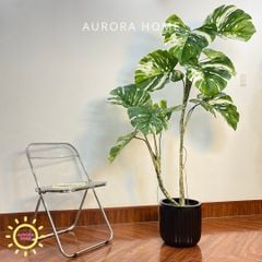 Cây Monstera bạch biến tán xoè cao cấp - Cây nhân tạo