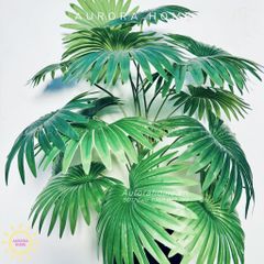 Chậu cây lá cọ Nhật xoè trang trí