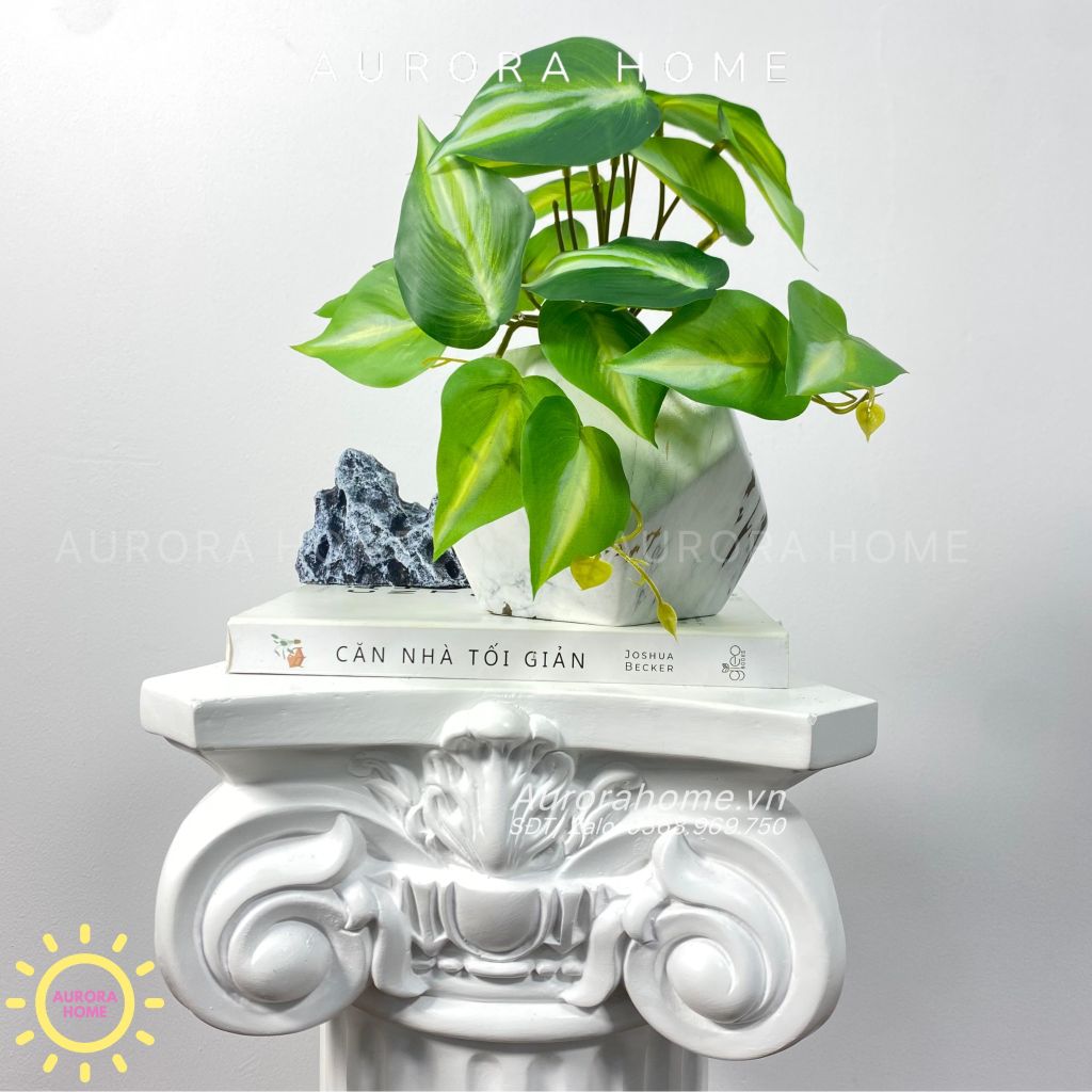 Chậu cây lá Winger mini để bàn