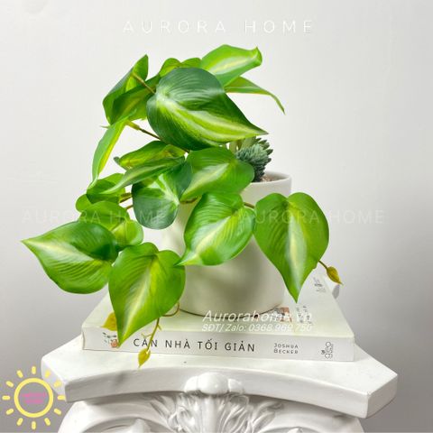 Chậu cây để bàn lá Winger (Mẫu 2)