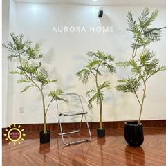 Chậu cây lá me giả cao cấp trang trí nhà