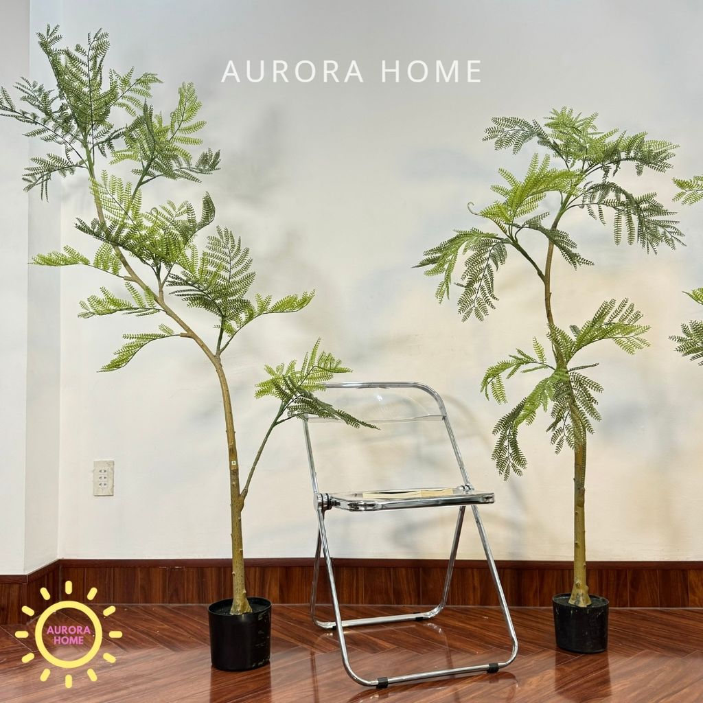 Chậu cây lá me giả cao cấp trang trí nhà