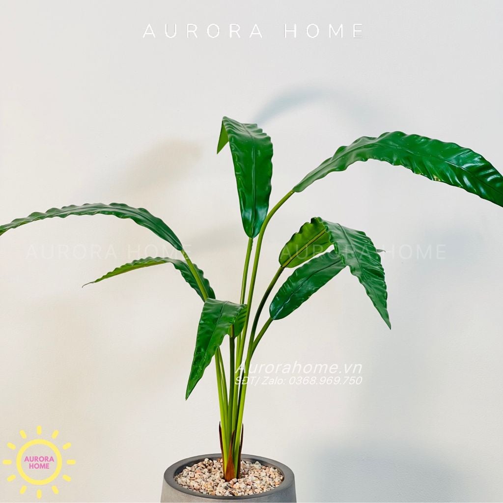 Chậu cây mini cây Tổ Yến giả cao cấp