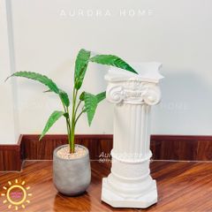 Chậu cây mini cây Tổ Yến giả cao cấp