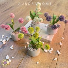 Chậu cây hoa tú cầu Aka Lita mini giả để bàn