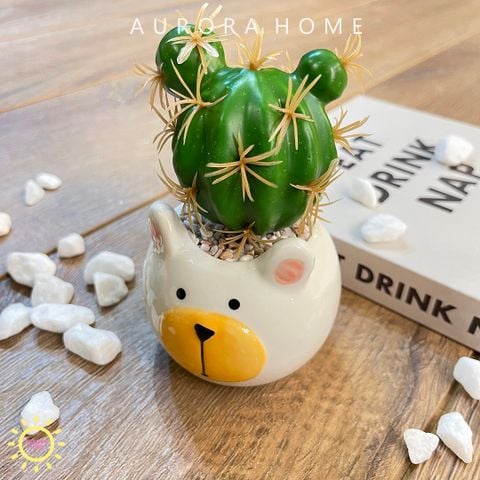 Chậu cây xương rồng Xaviin mini giả để bàn