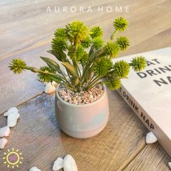 Chậu cây hoa bồ công anh Fairy mini giả để bàn