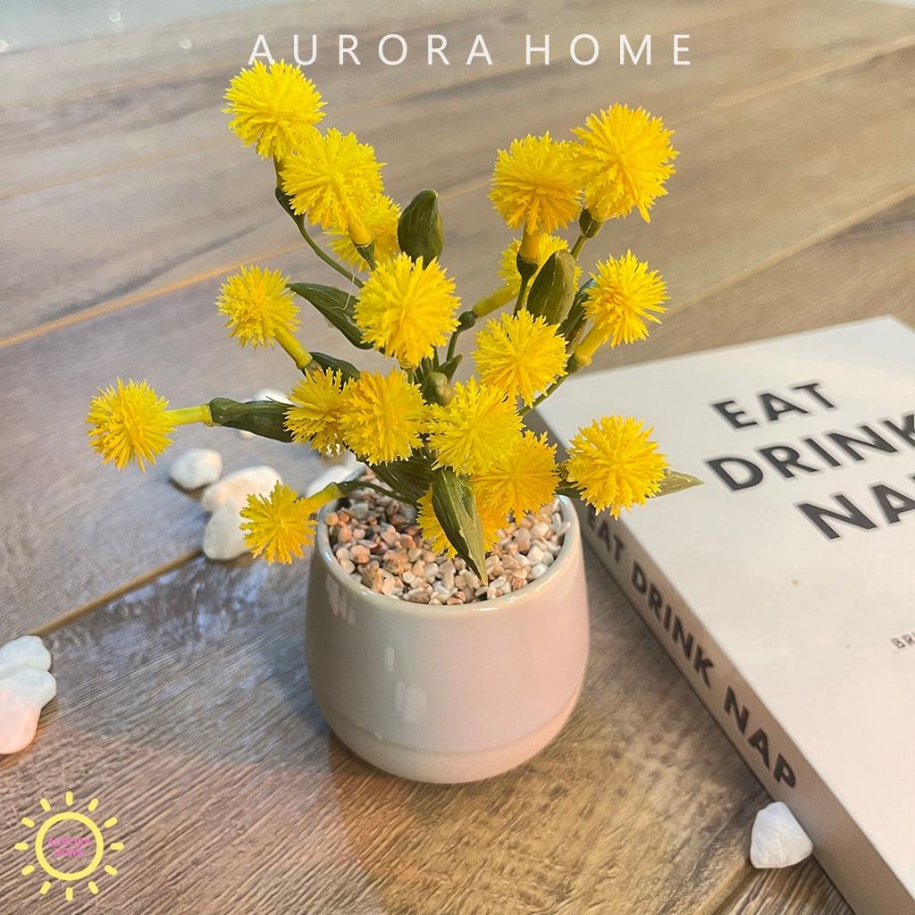 Chậu cây hoa bồ công anh Fairy mini giả để bàn