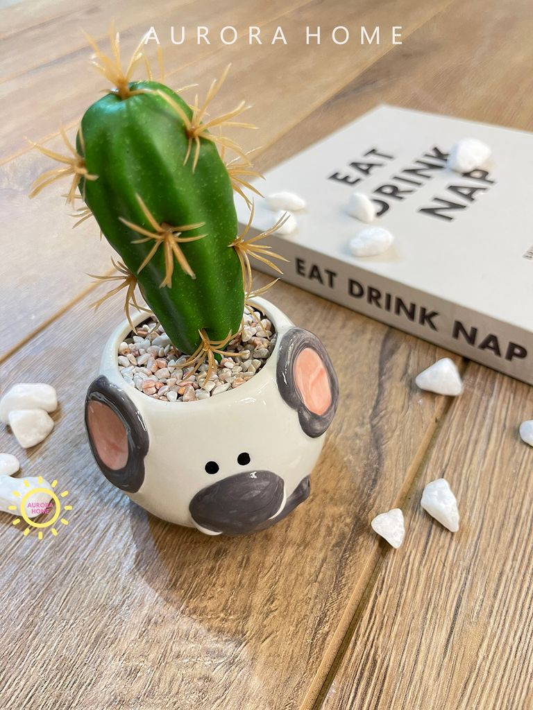 Chậu cây xương rồng Xaviin mini giả để bàn