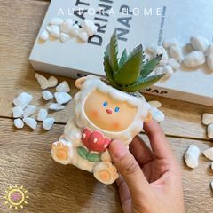 Chậu cây sen đá Edna mini giả để bàn
