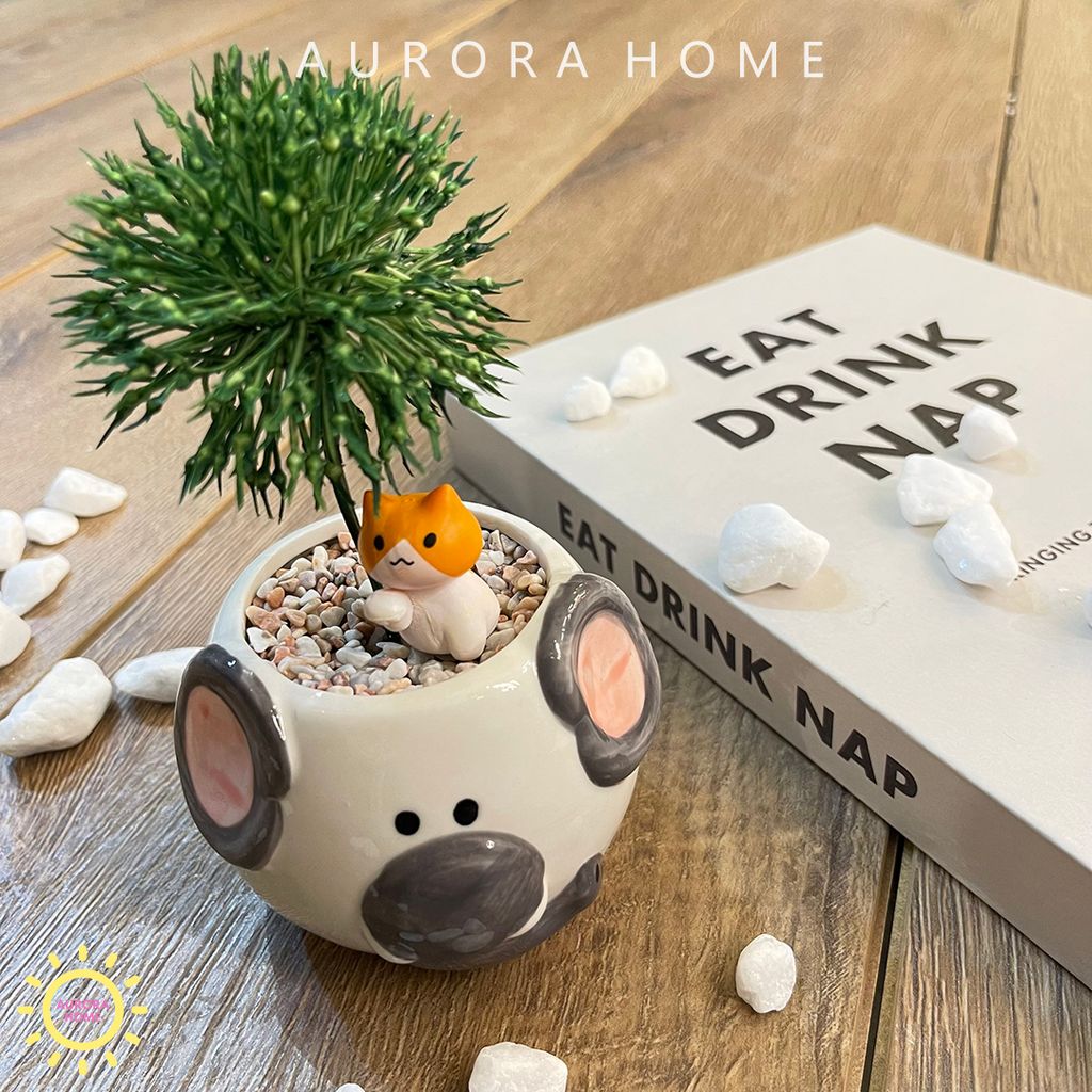 Chậu cây bồ công anh Zahra mini giả để bàn