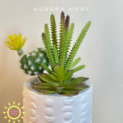 Cây giả mini để bàn Lita Sika