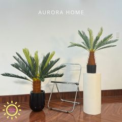 Chậu cây vạn tuế giả cao cấp trang trí nhà