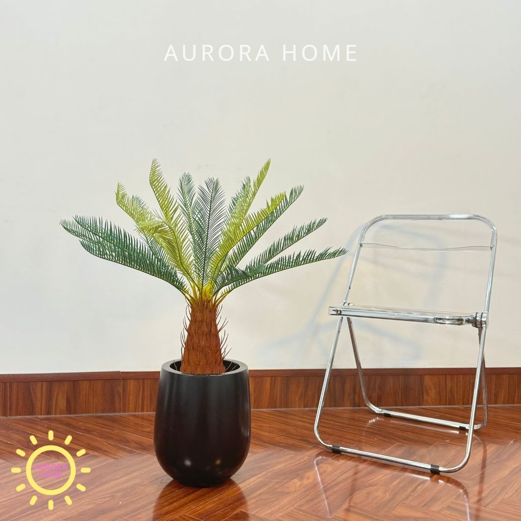 Chậu cây vạn tuế giả cao cấp trang trí nhà