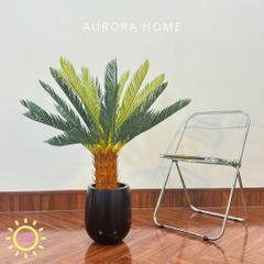 Chậu cây vạn tuế giả cao cấp trang trí nhà