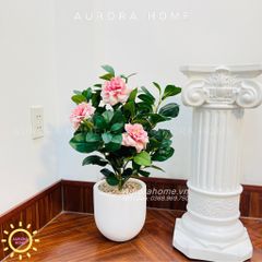 Chậu cây hoa hồng giả Elisa phối cành trà sang trọng