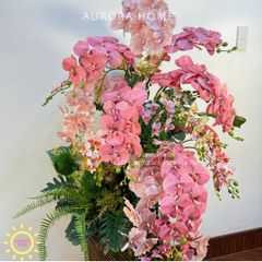 Chậu hoa lan hồ điệp Royal Crystal trang trí đại sảnh