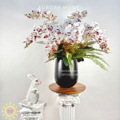 Chậu hoa lan hồ điệp Monarica cao cấp