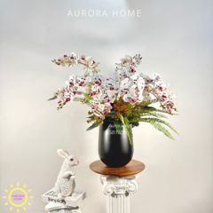 Chậu hoa lan hồ điệp Monarica cao cấp