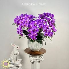 Chậu hoa lan hồ điệp Du Nhiên cao cấp sống động như thật
