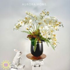 Chậu hoa lan hồ điệp cánh bướm Tĩnh Lặng sắc trắng thanh khiết