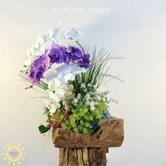 Chậu hoa lan hồ điệp gỗ lũa xinh xắn Mộng Nhiên