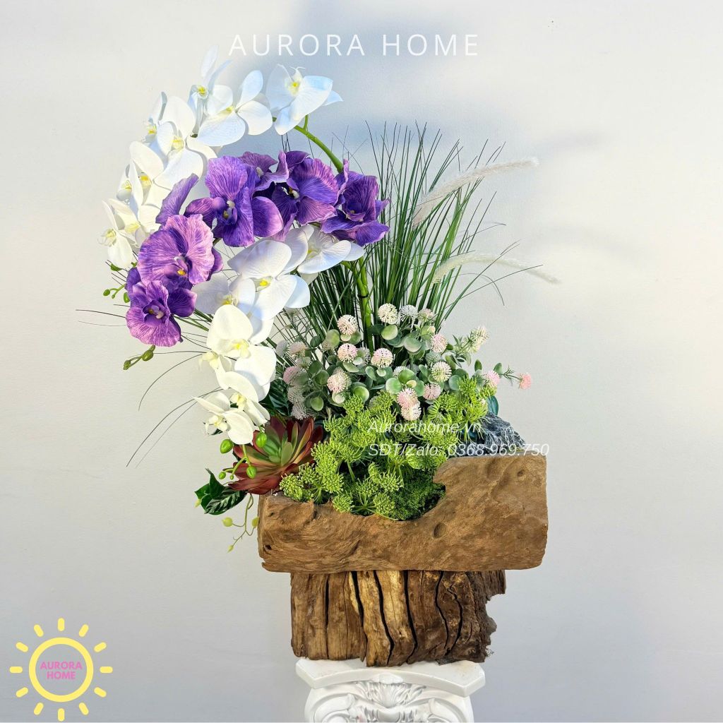Chậu hoa lan hồ điệp gỗ lũa xinh xắn Mộng Nhiên
