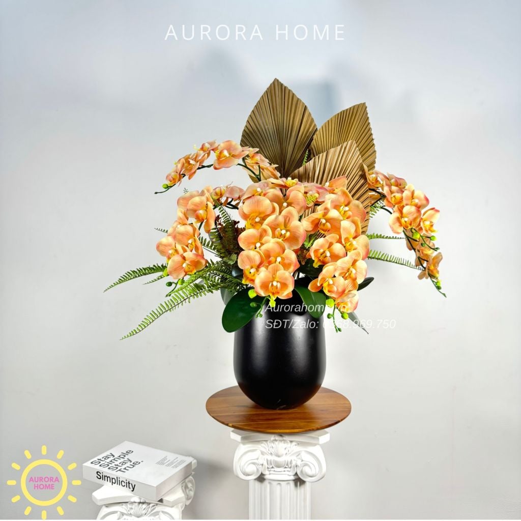 Chậu hoa lan hồ điệp Dật Lạc phối nghệ thuật