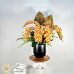 Chậu hoa lan hồ điệp Dật Lạc phối nghệ thuật