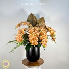 Chậu hoa lan hồ điệp Dật Lạc phối nghệ thuật