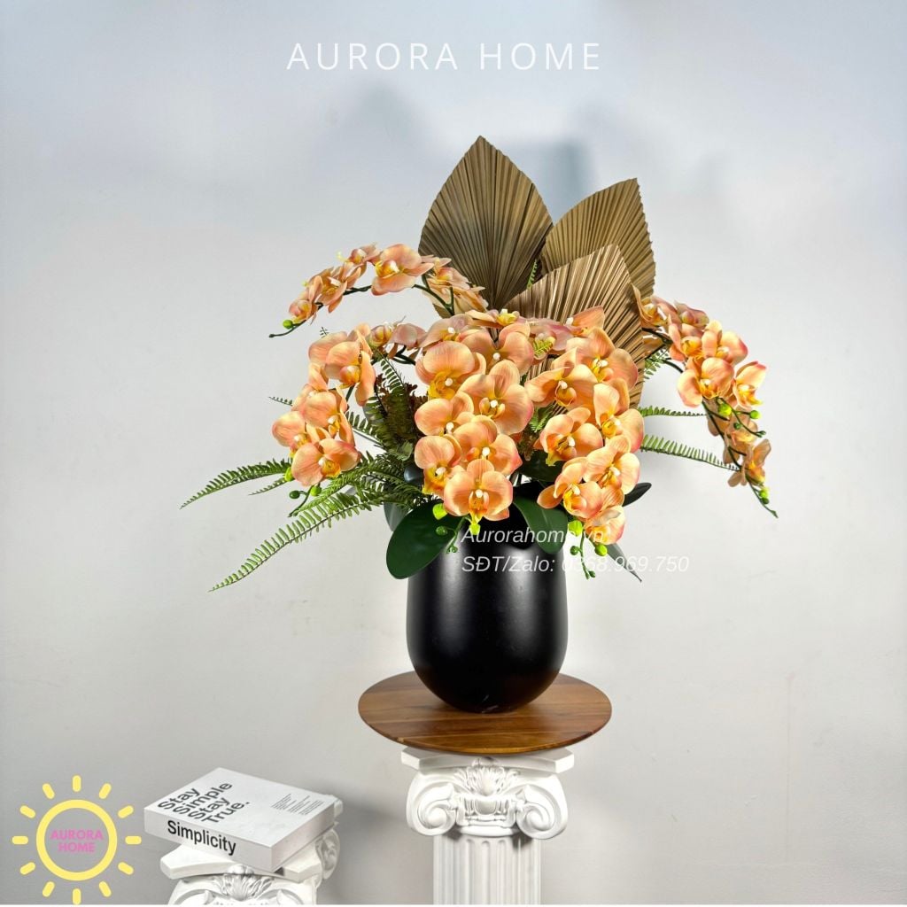 Chậu hoa lan hồ điệp Dật Lạc phối nghệ thuật