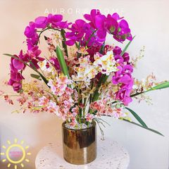 Chậu hoa Lan Hồ Điệp Lộc Phát Tài