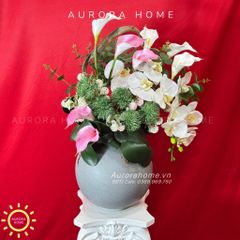 Chậu hoa lan tiểu hồ điệp Yên Như