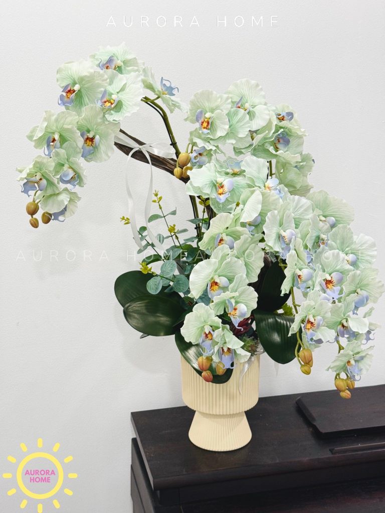Chậu hoa lan hồ điệp Yên Cảnh cao cấp